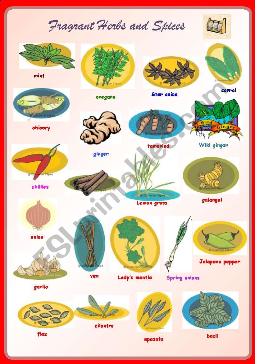 fragrant-herbs-and-spices-fully-editable-esl-worksheet-by-sharin-raj