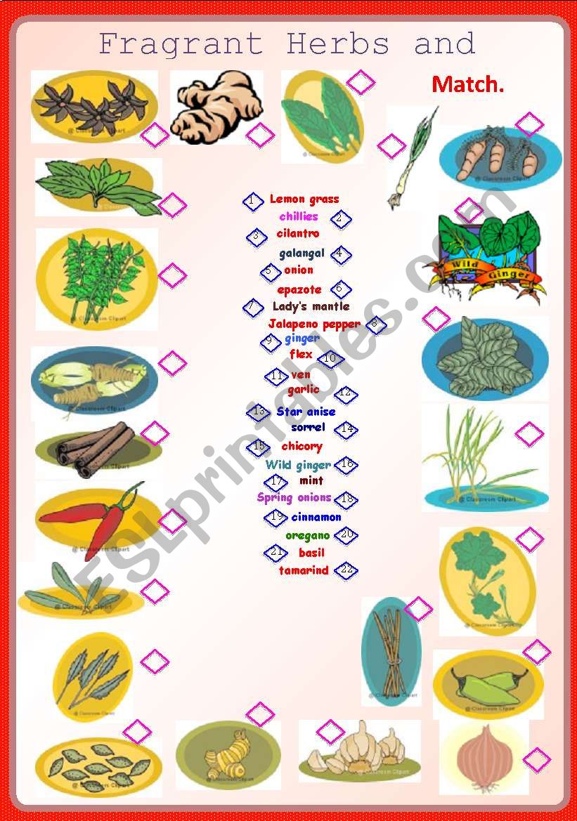 Fragrant Herbs and Spices-Matching **fully editable