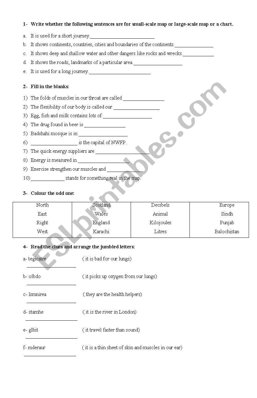 general knowledge worksheet