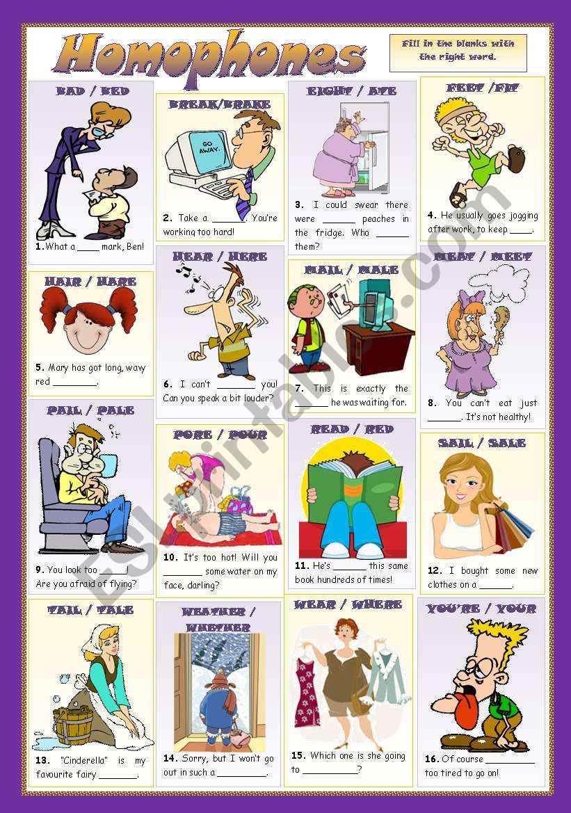 HOMOPHONES worksheet