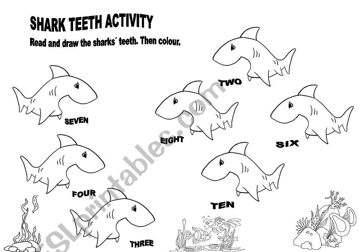 Shark teeth activity worksheet