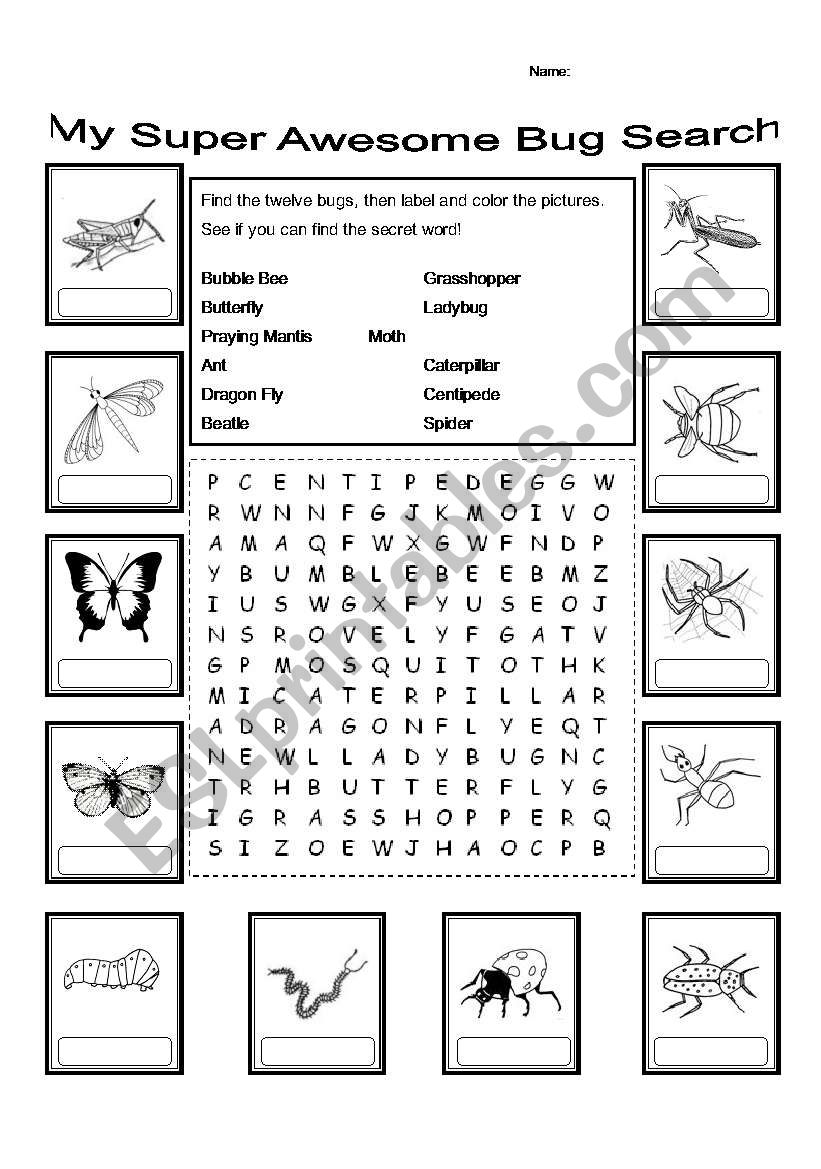 My Super Awesome Bug Search worksheet
