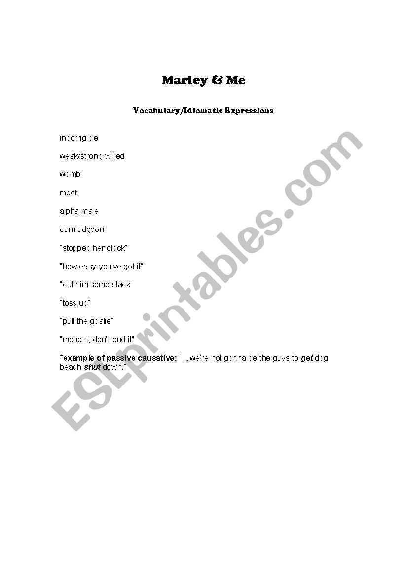 Marley and me movie activity worksheet