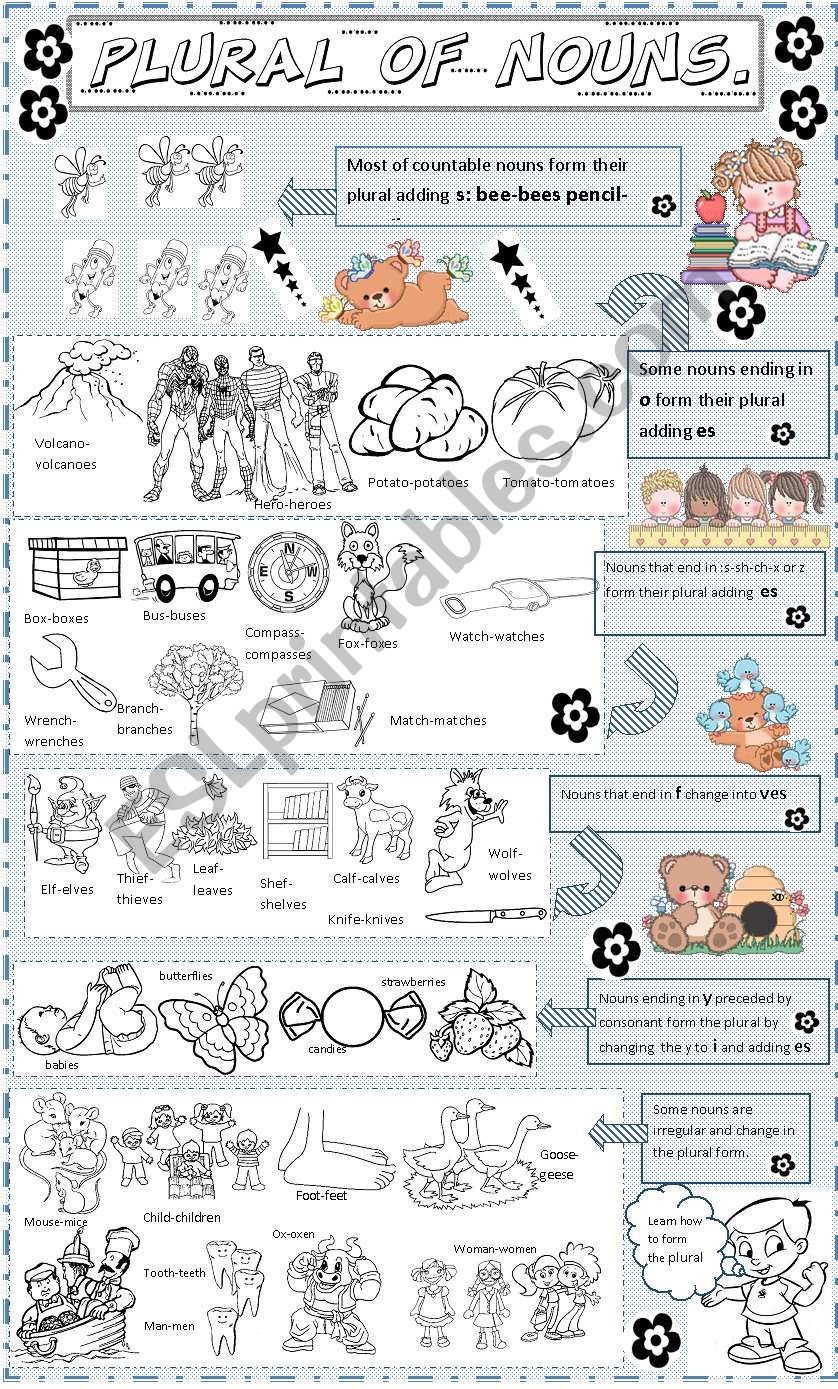 plurals worksheet