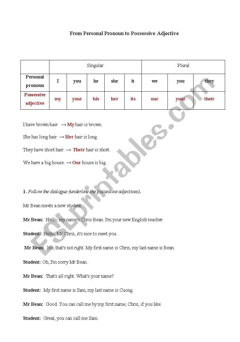 Possessive Adjective worksheet
