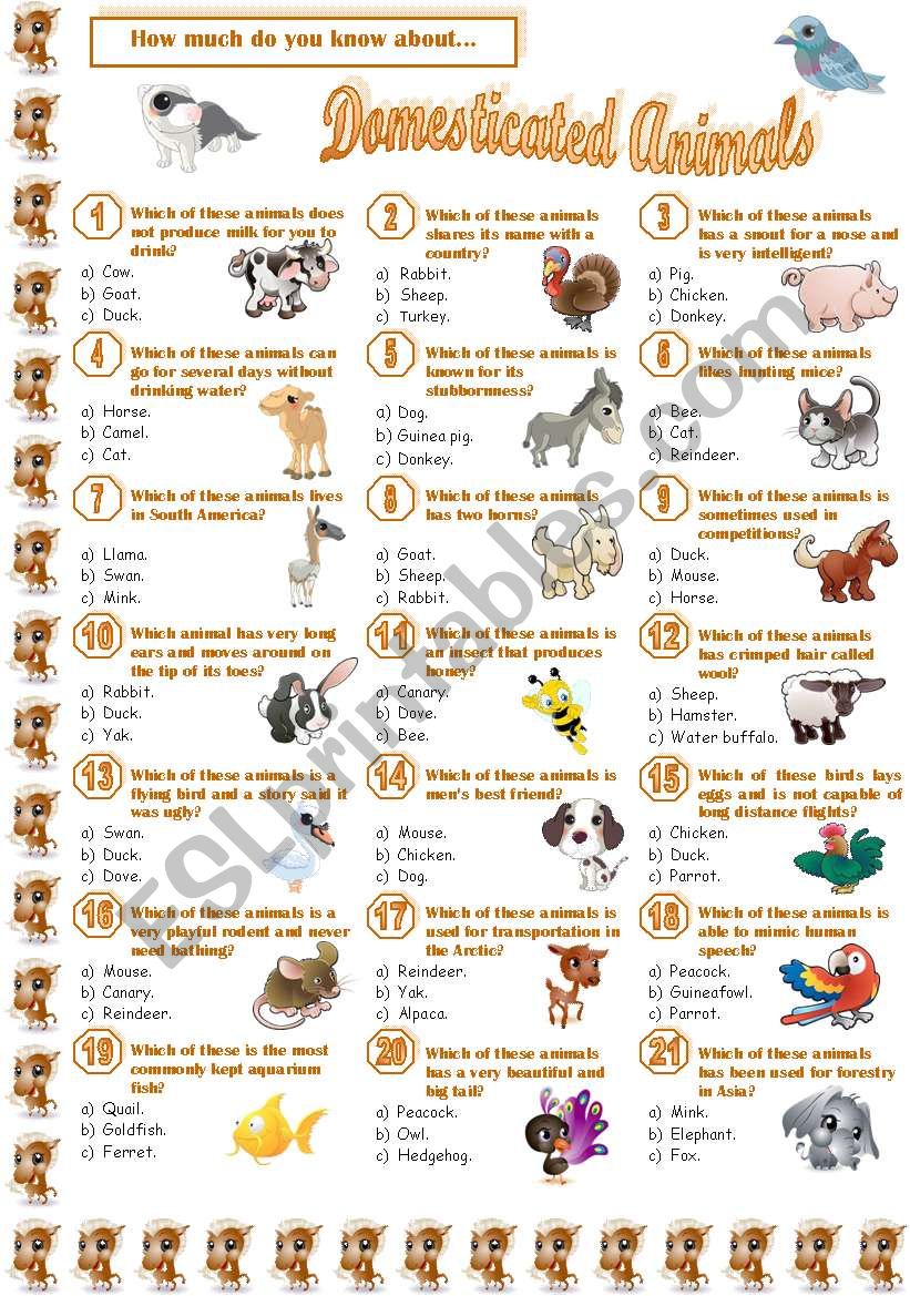 Domesticated Animals-Quiz - ESL worksheet by Jayce