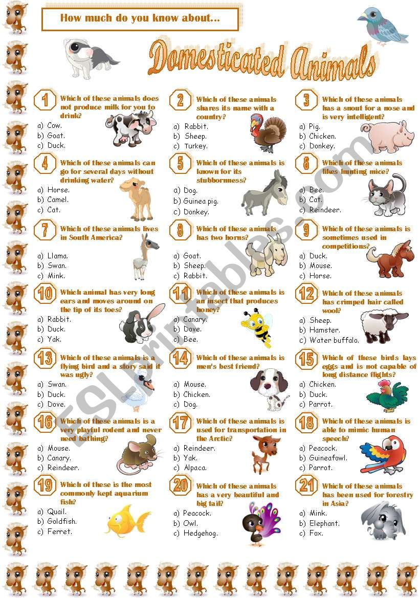 Domesticated Animals-Quiz worksheet