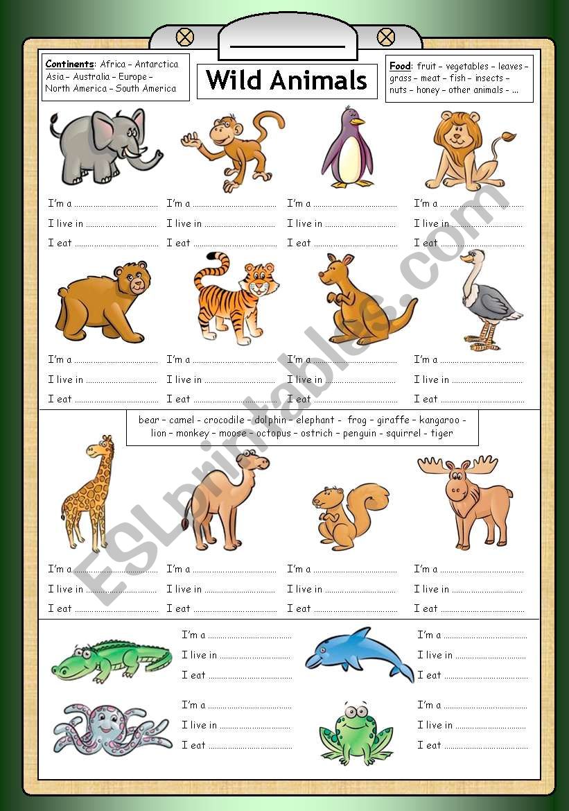 Wild Animals - Reading, writing & general knowledge