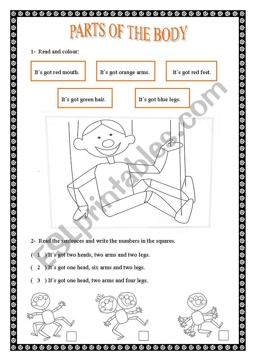 Parts of the body  worksheet