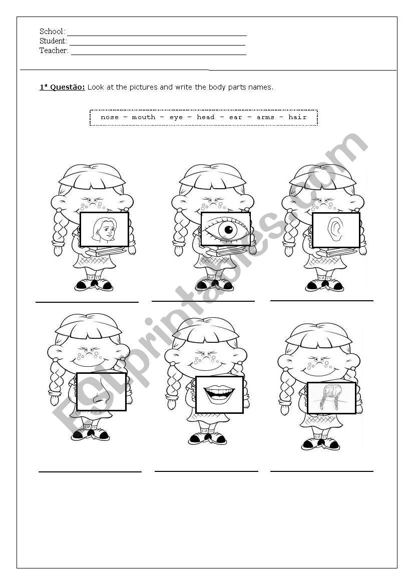 body parts worksheet