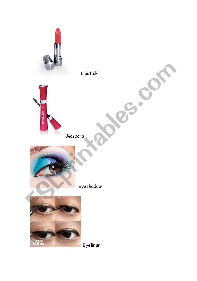 Make Up - Picture Vocabulary worksheet
