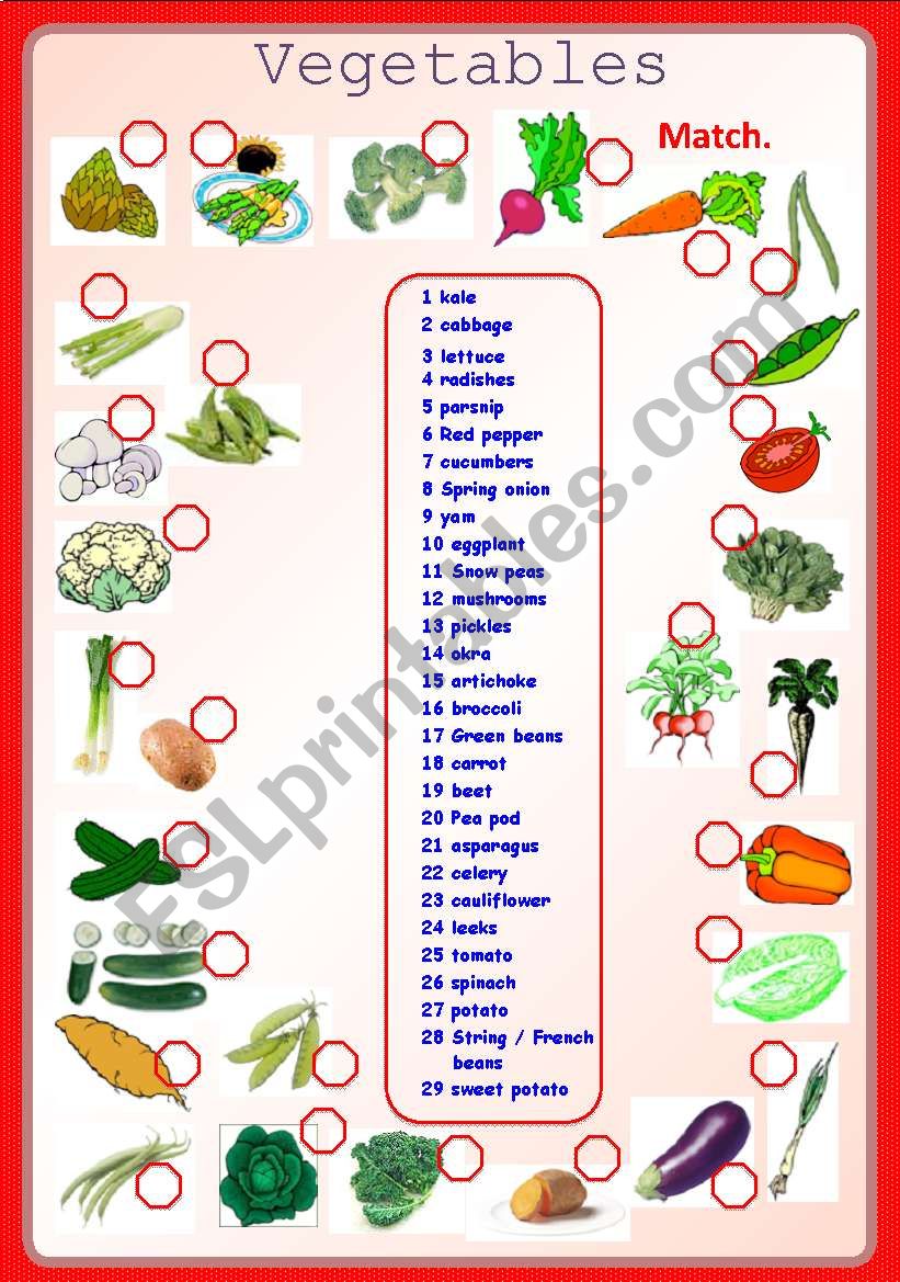 Vegetables-matching **fully editable