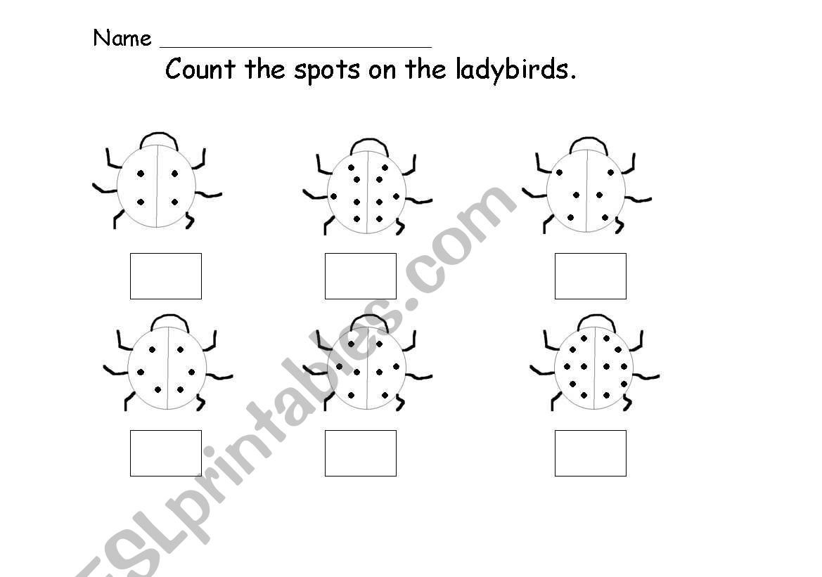 Transport worksheet
