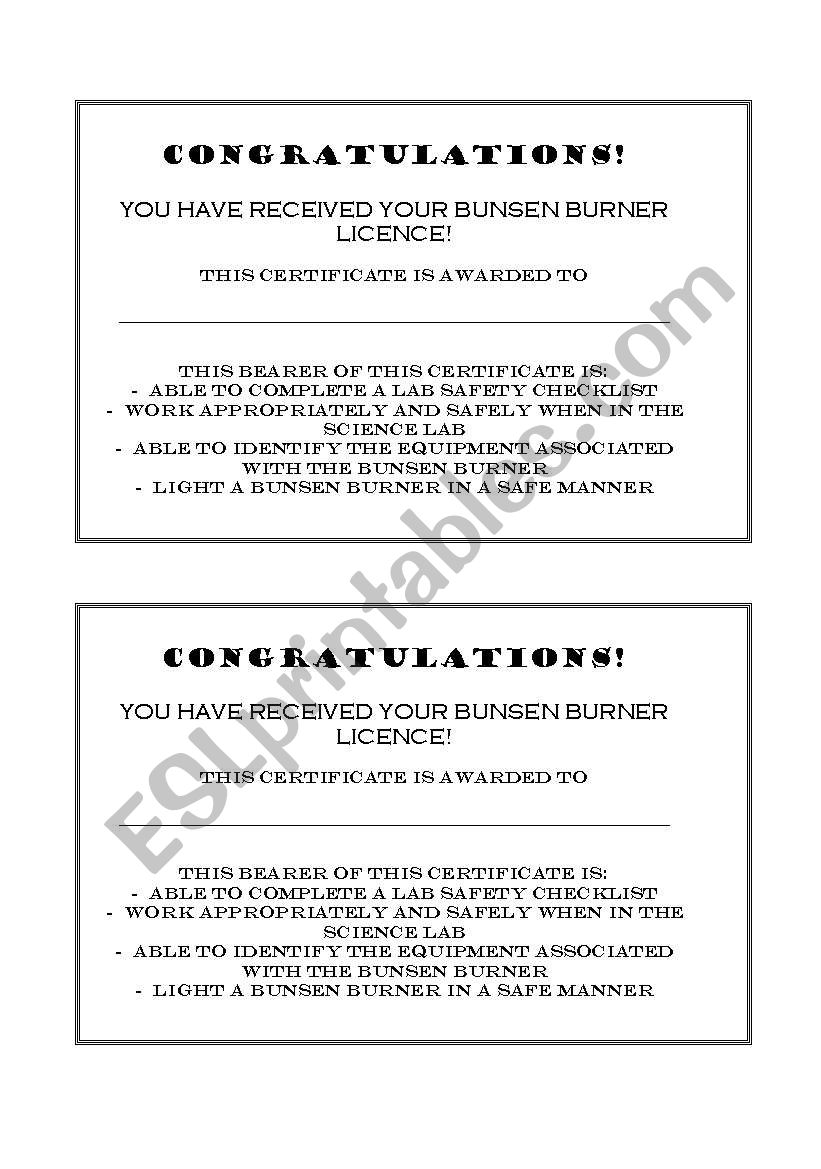 Bunsen Burner  LIcence  worksheet