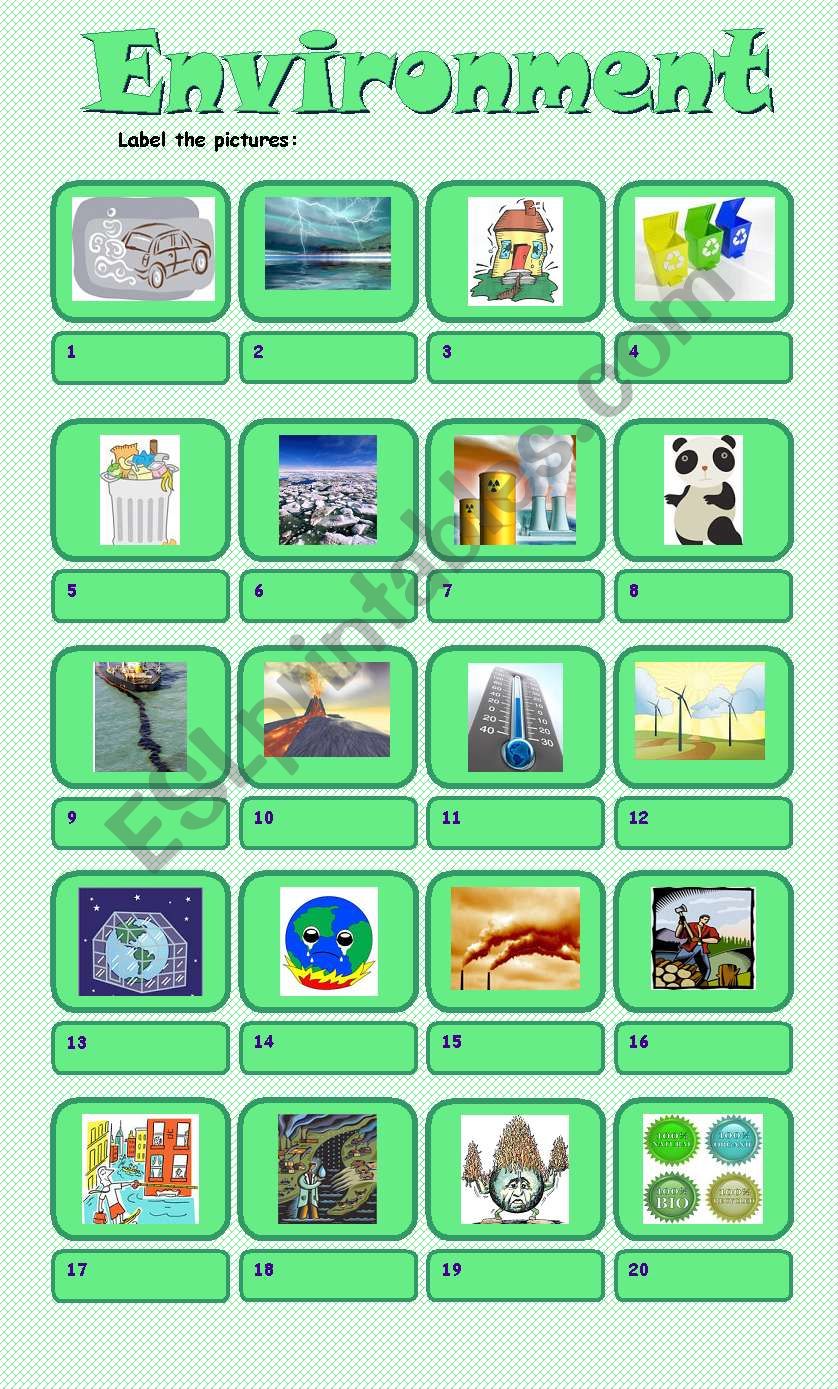 Environment worksheet