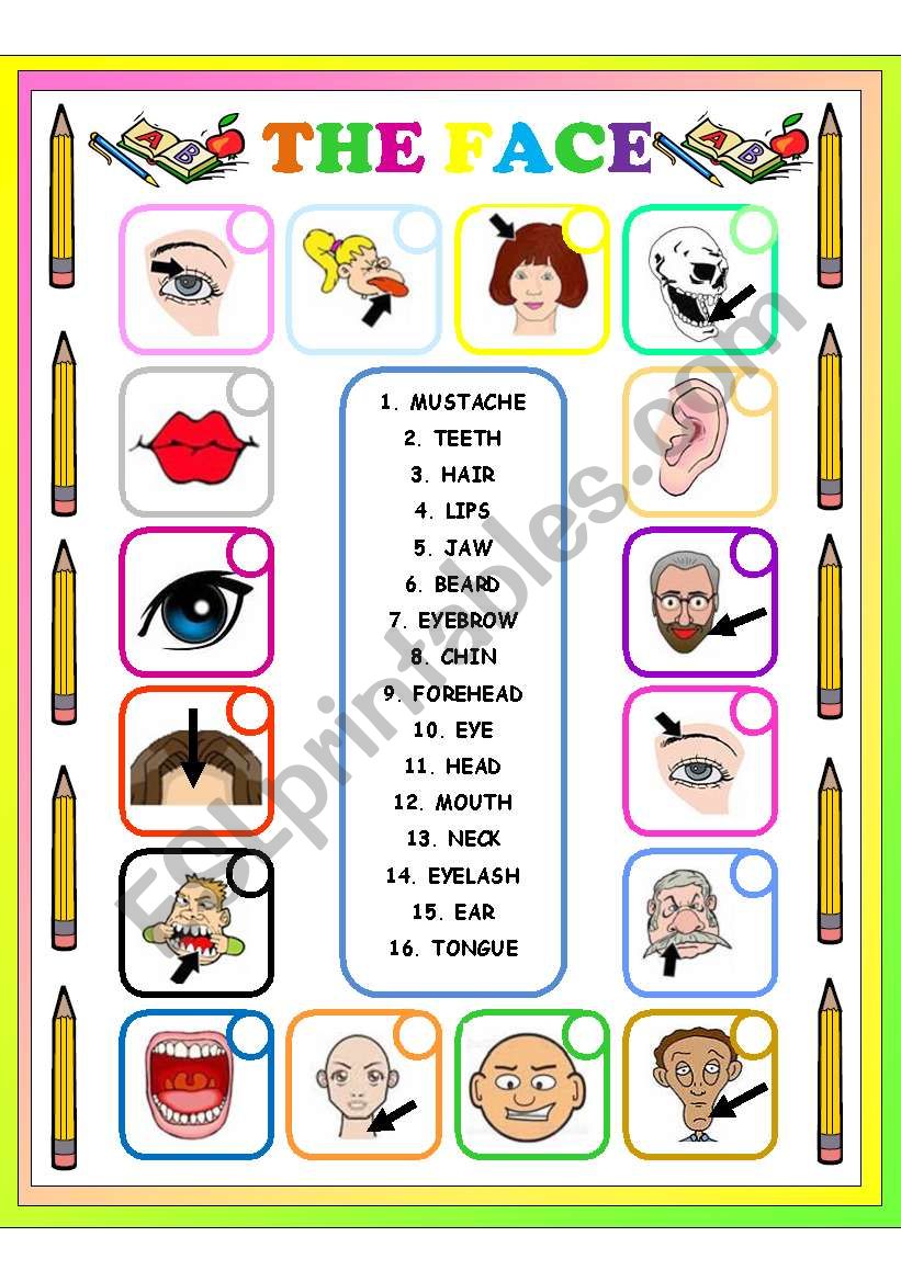 THE FACE MATCHING 1 worksheet