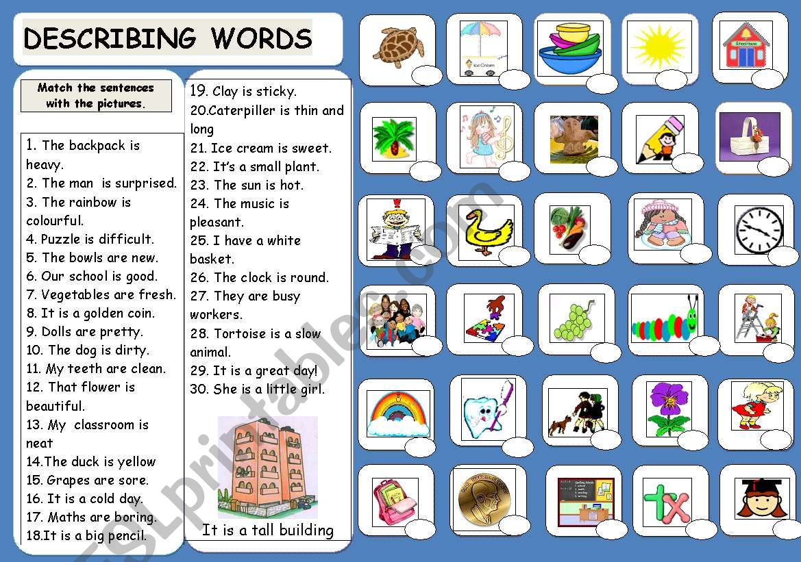 DESCRIBING WORDS worksheet