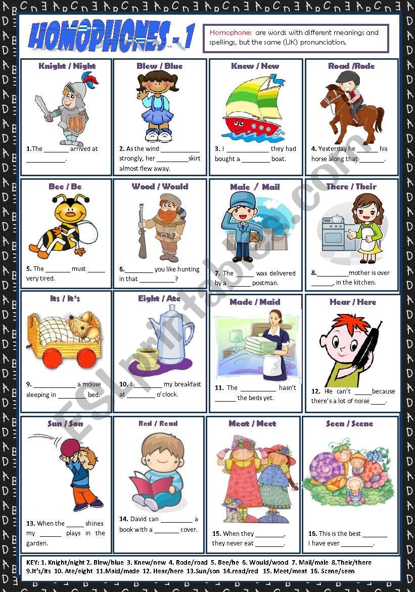 HOMOPHONES 1 + KEY worksheet