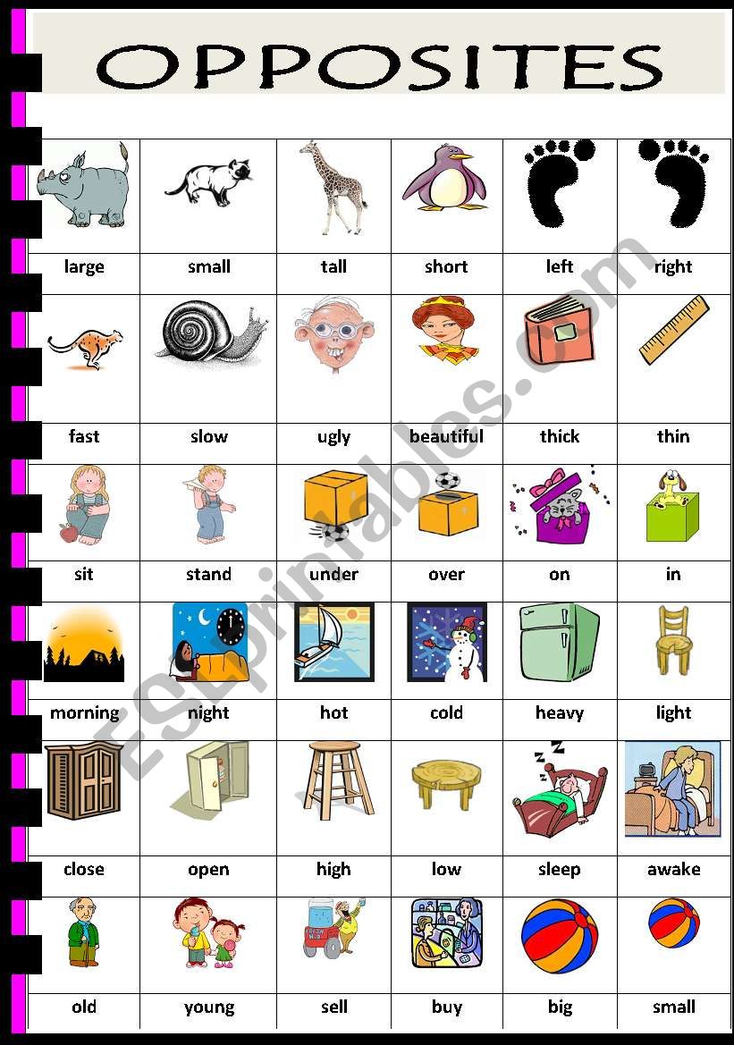 OPPOSITES worksheet