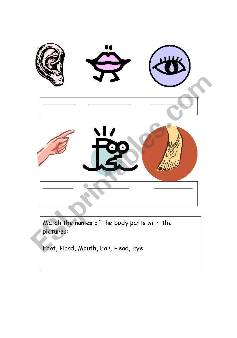 Body Parts worksheet