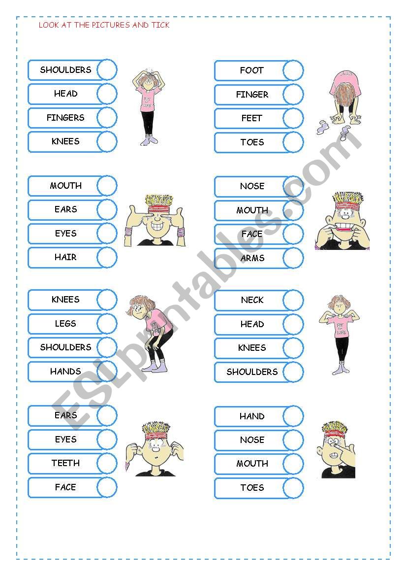 BODY 2 worksheet