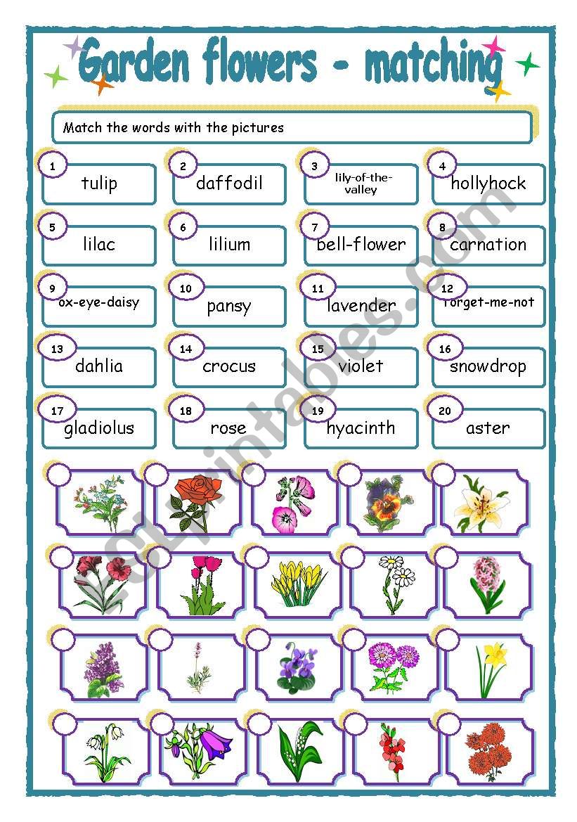 Garden flowers - matching worksheet