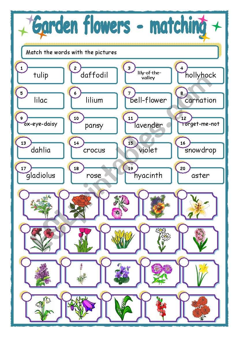 Garden flowers - matching worksheet