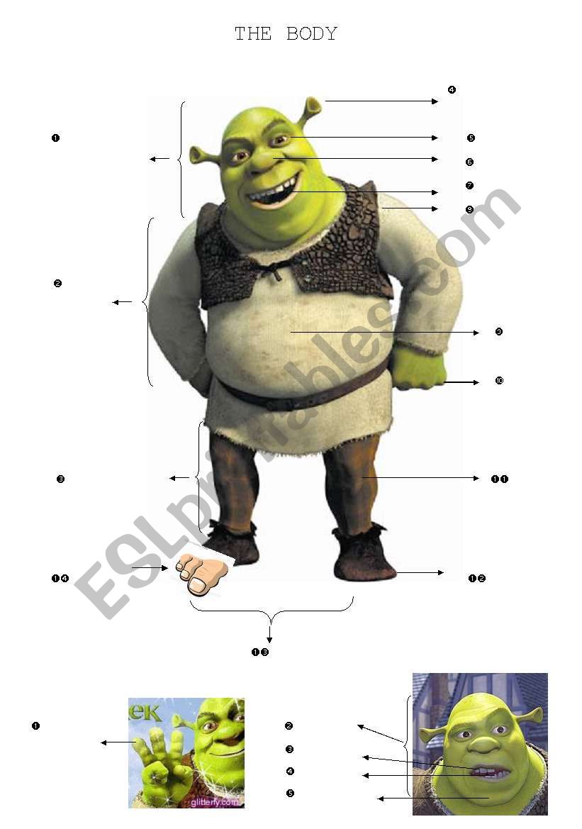 The Body (Shrek) worksheet