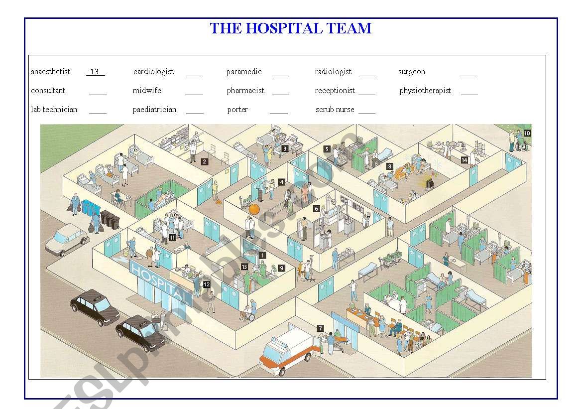 Hospital team  worksheet