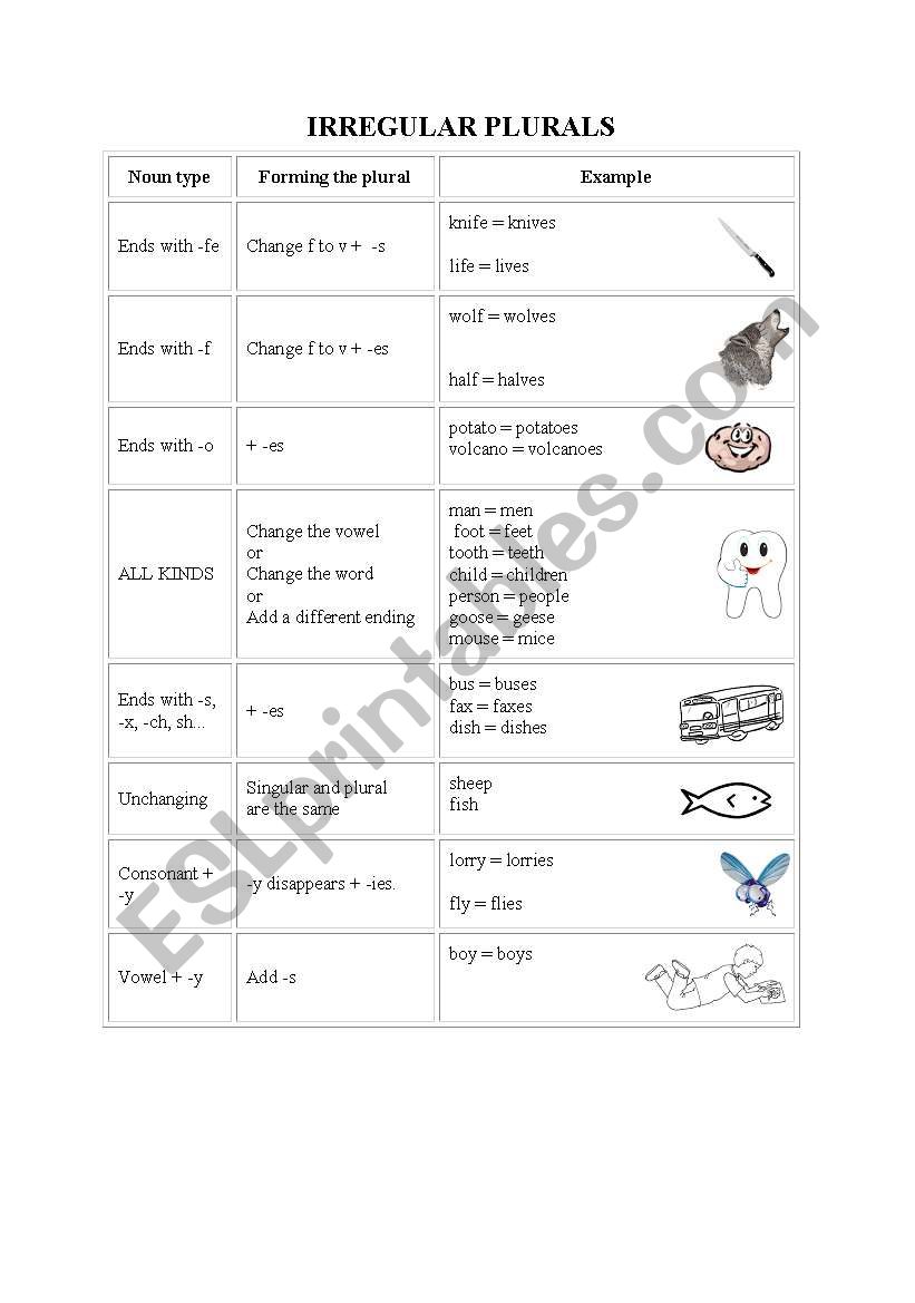 Irregular plurals worksheet