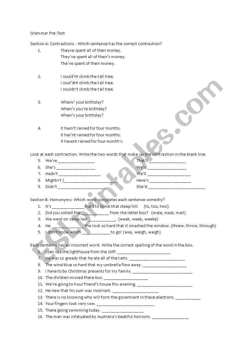 grammar pre test worksheet