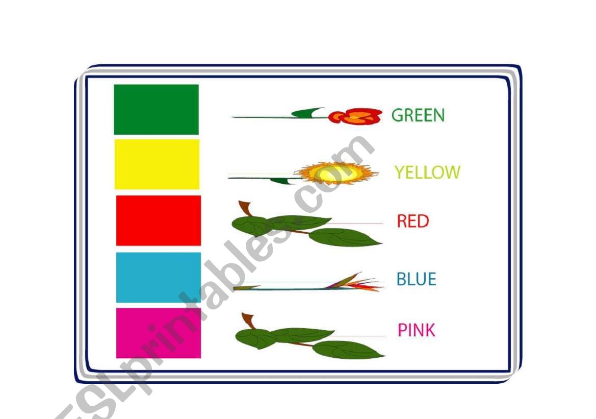 colours worksheet