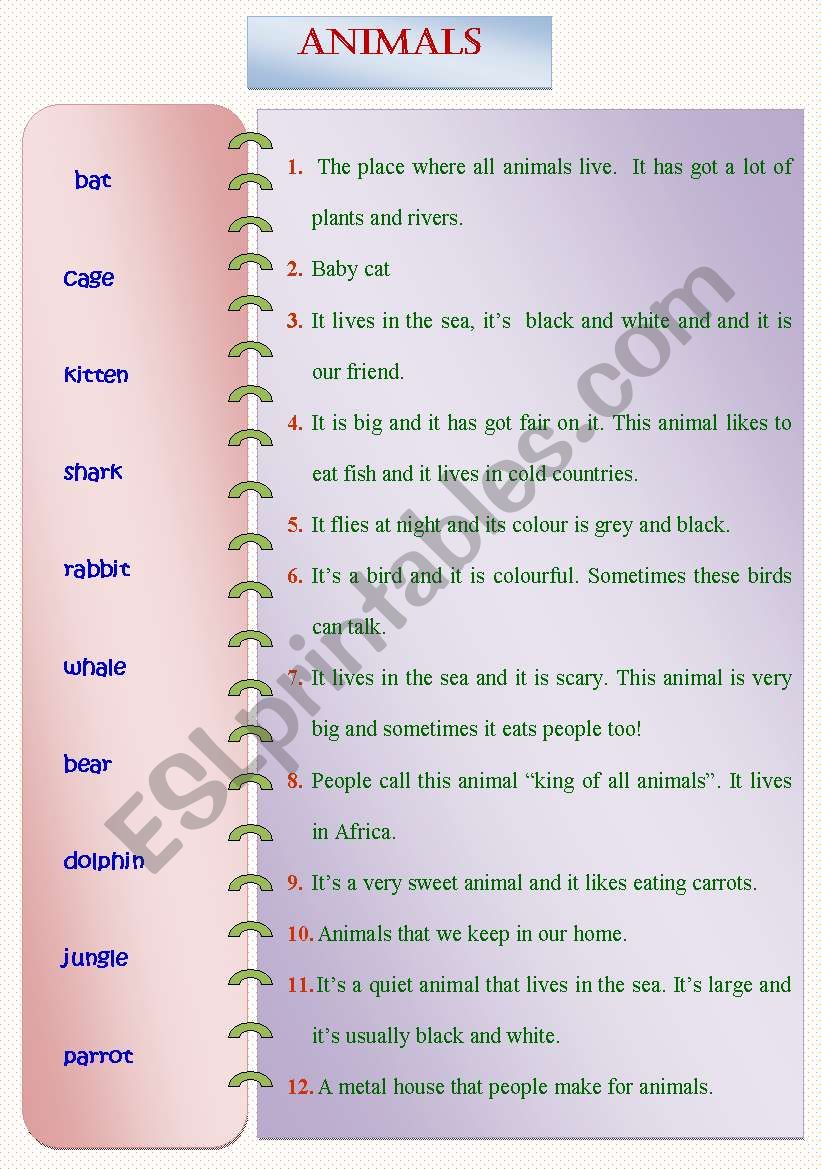 DESCRIBING AND MATCHING ANIMALS !!