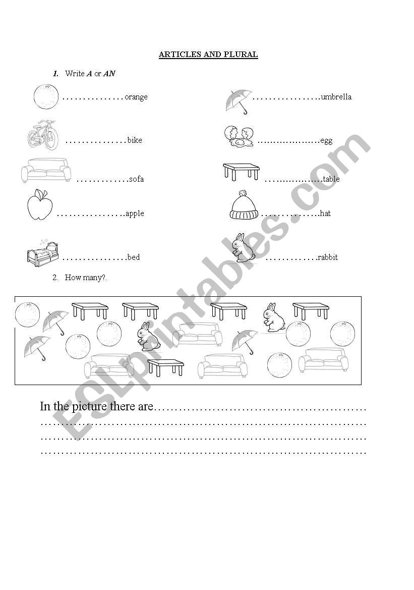 articles and plural worksheet