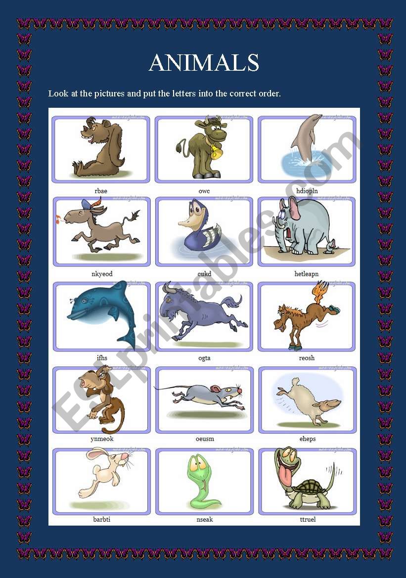 animals worksheet