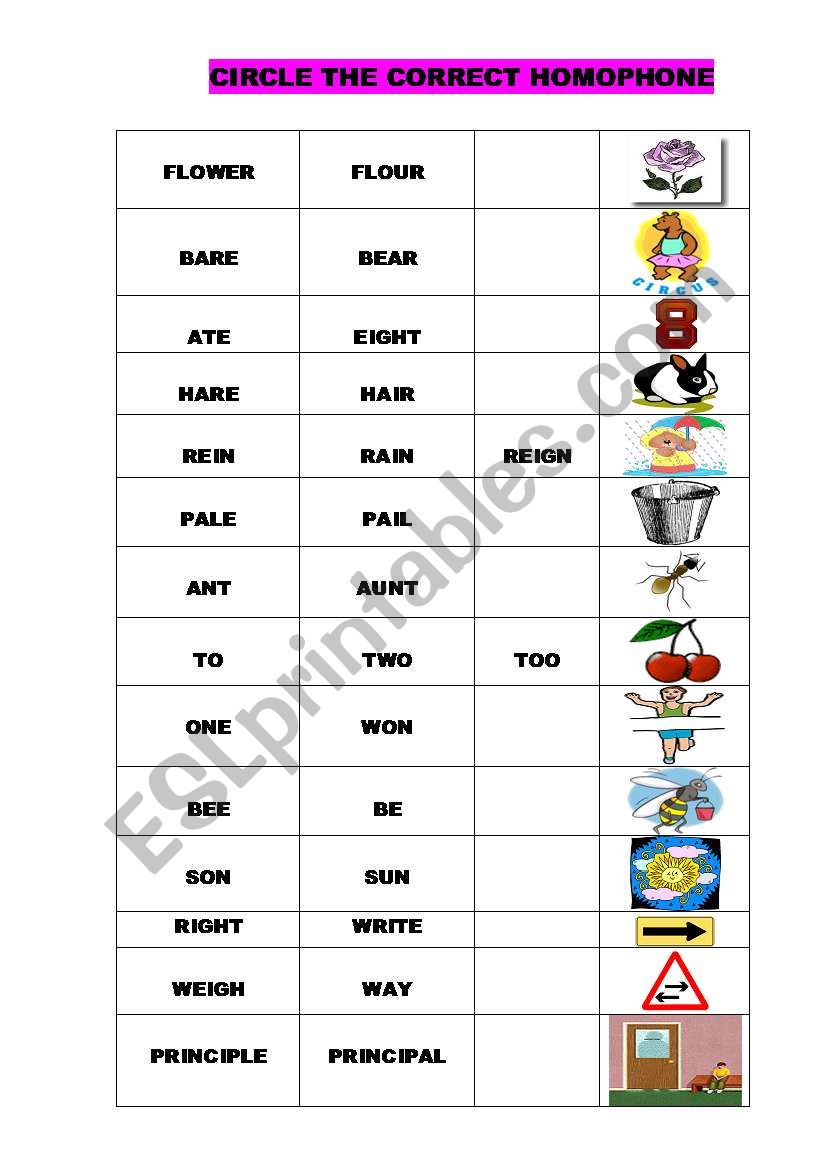 HOMOPHONES worksheet