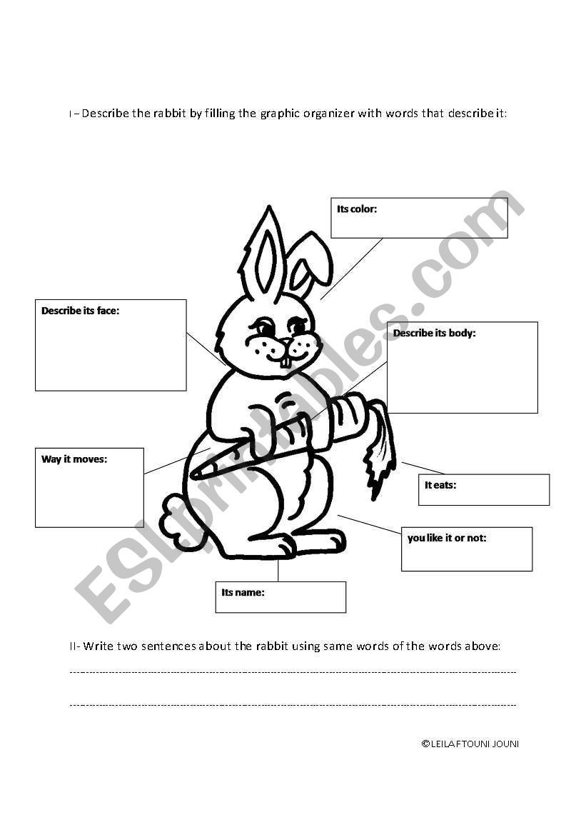 Rabbit describing worksheet