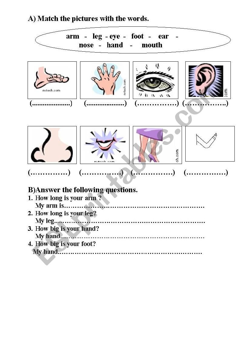 Parts of the body worksheet