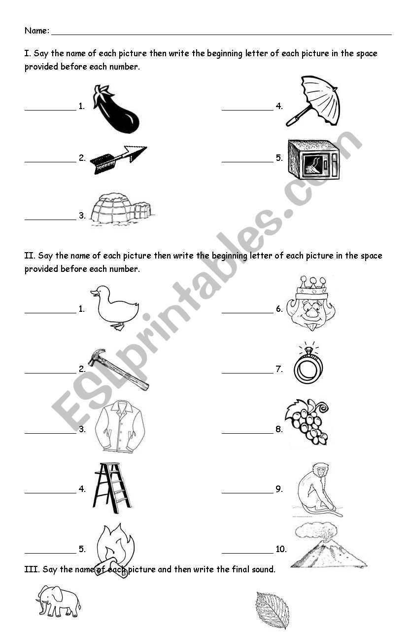 reading worksheet