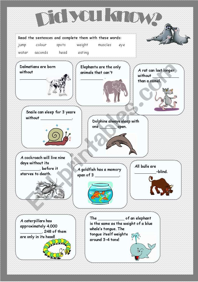 animal facts2 - did you know? worksheet