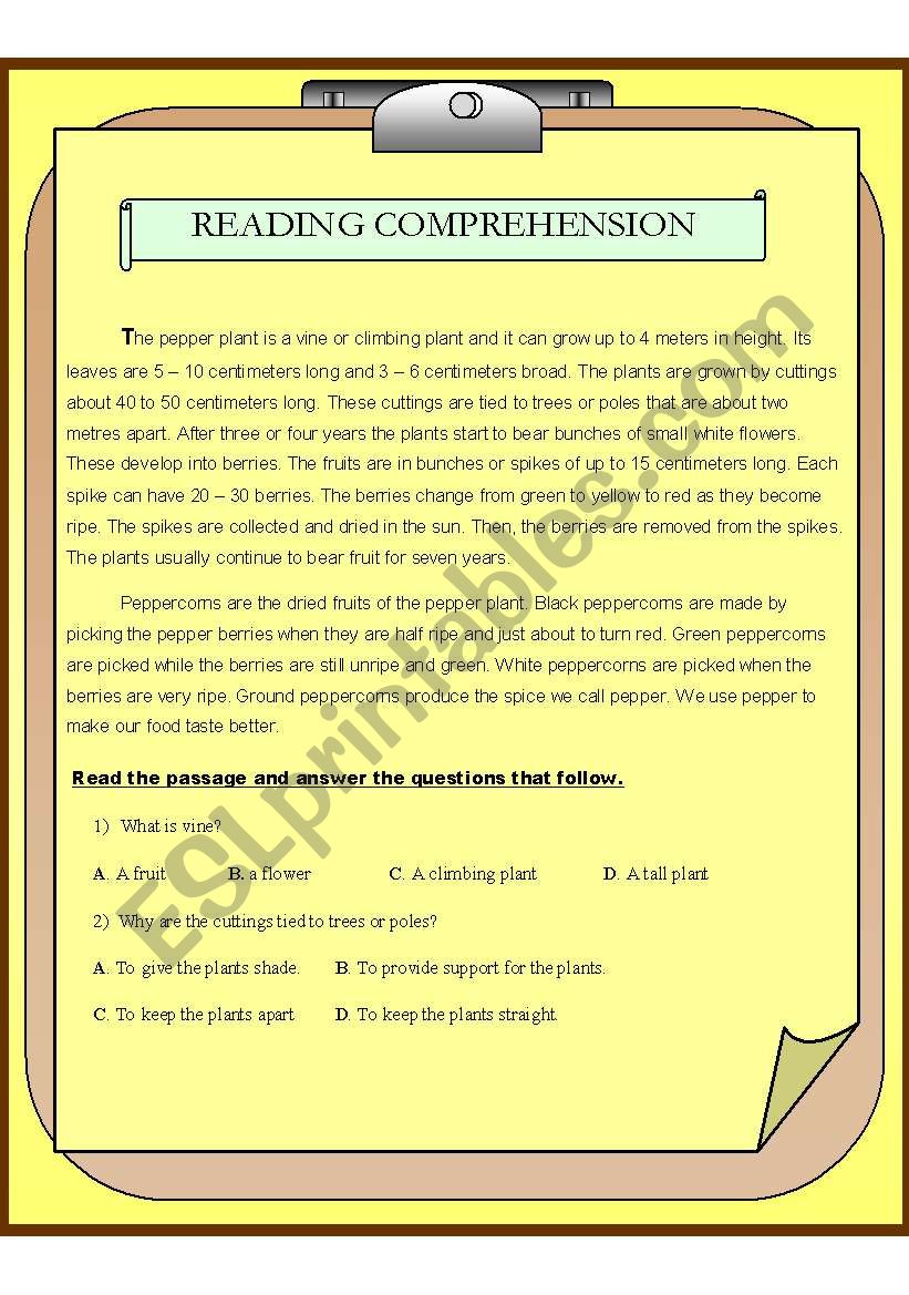 Reading Comprehension worksheet