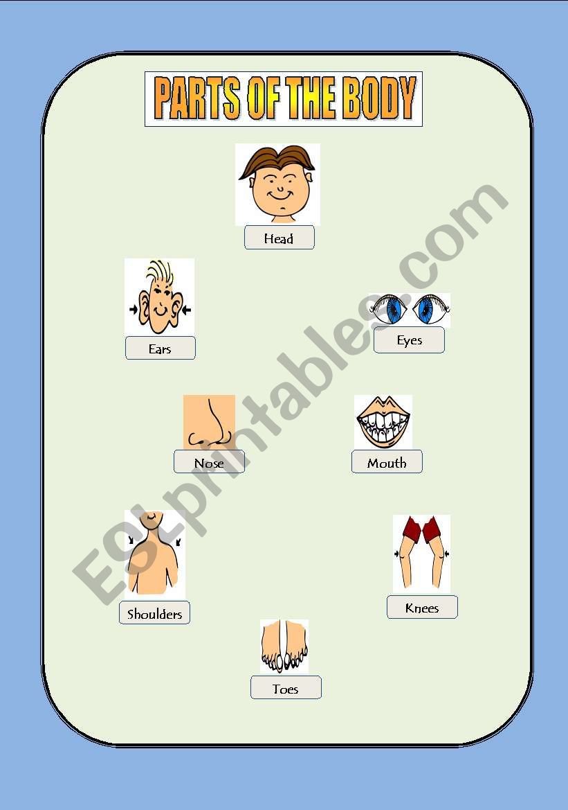 PICTURES DICTIONARY worksheet