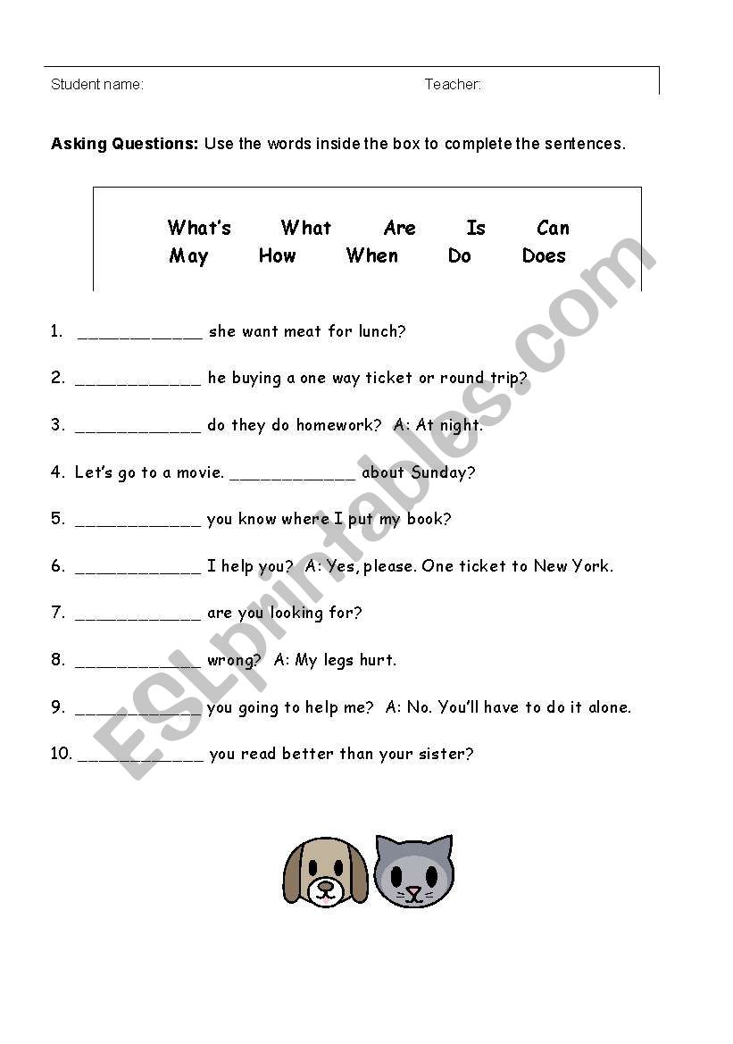 Question words worksheet