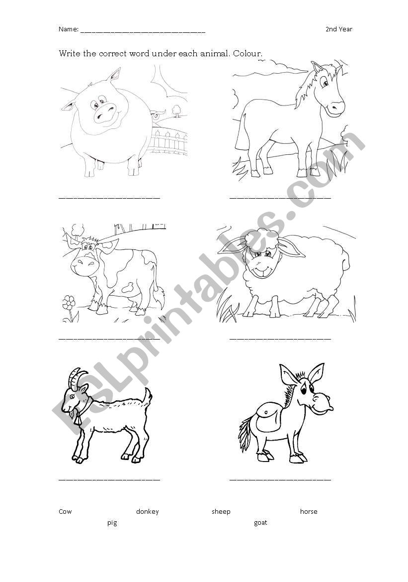 Farm Animals worksheet