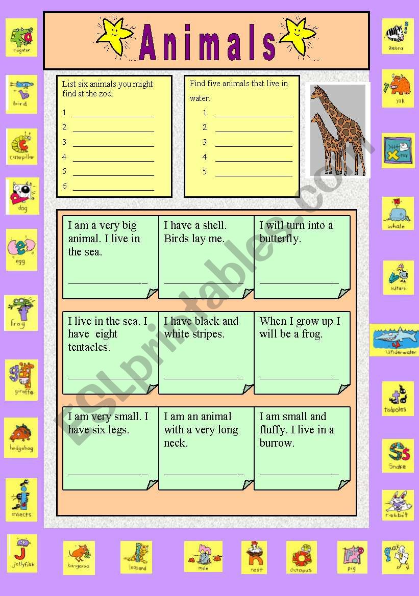 Animals worksheet