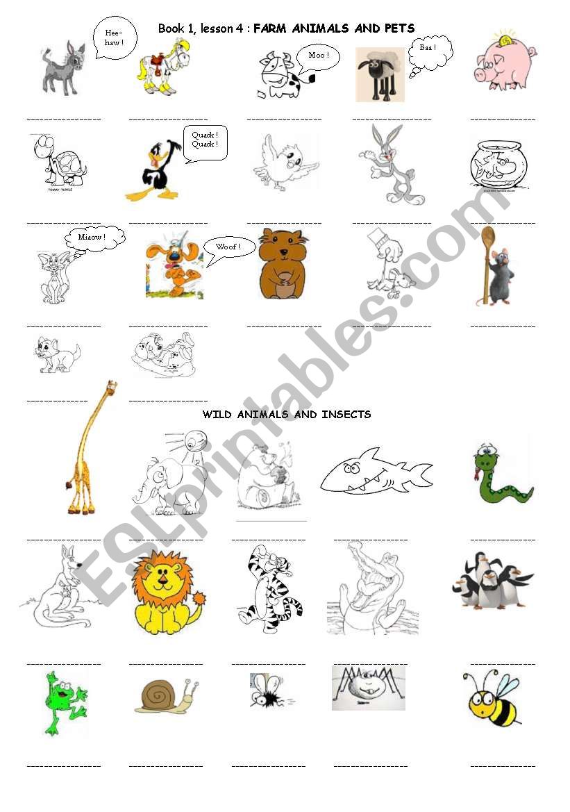 Animals worksheet