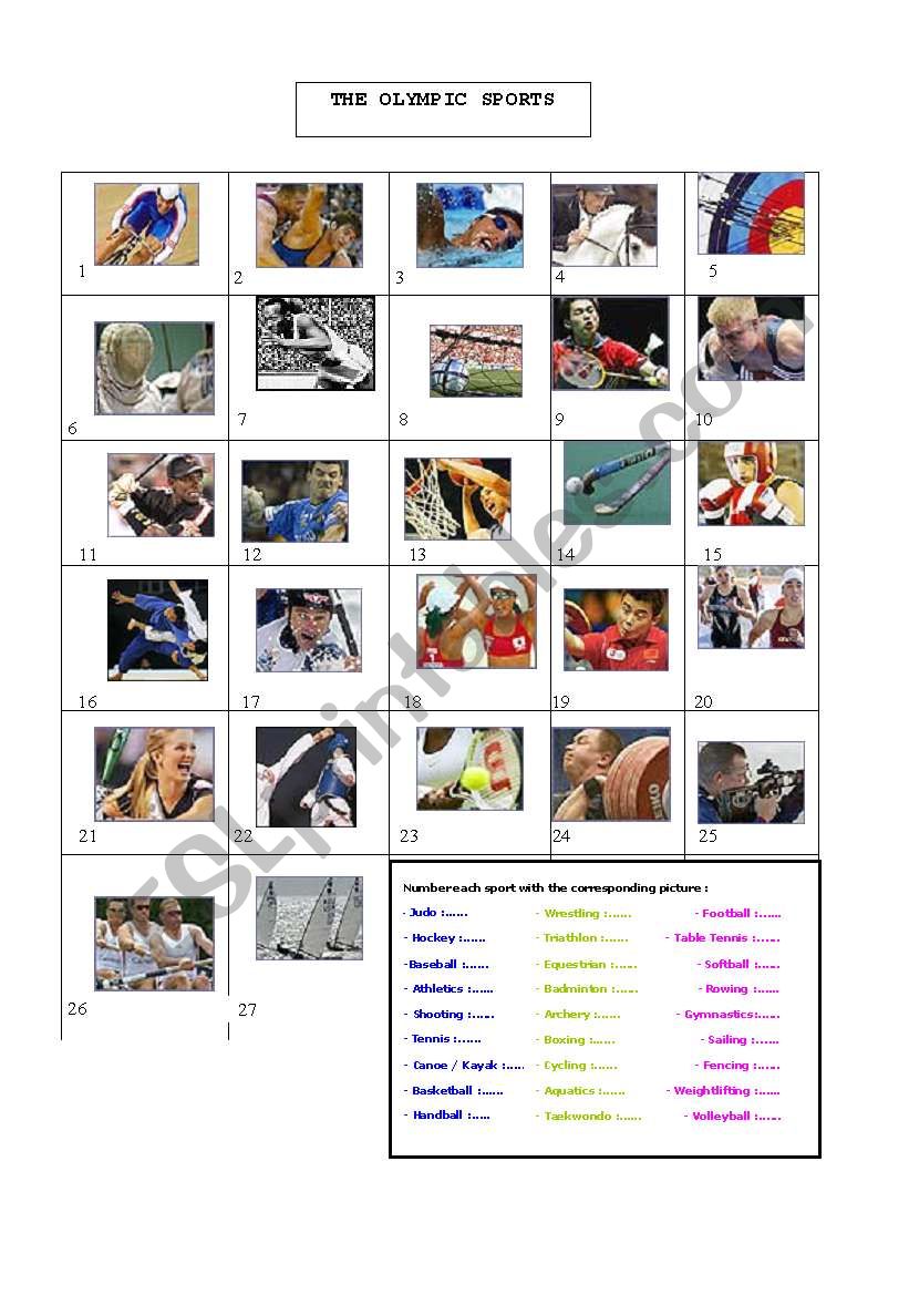 Summer Olympic Sports  worksheet