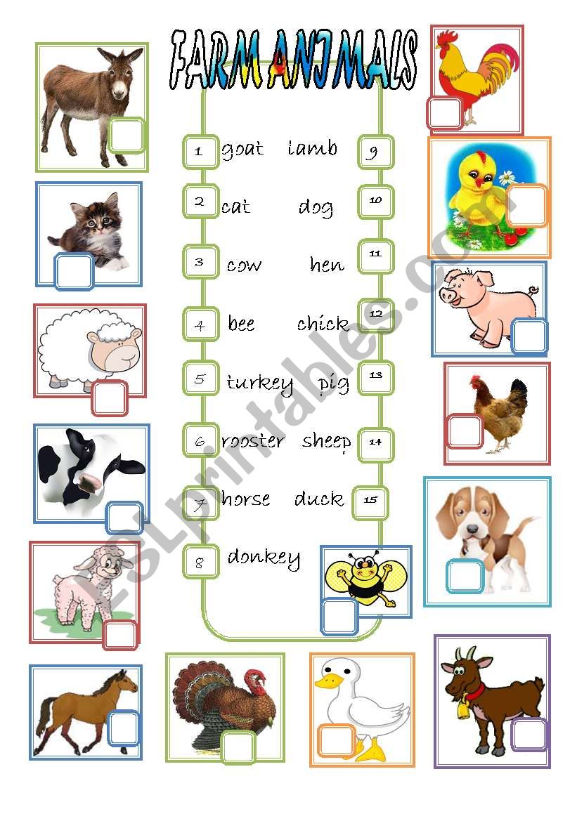 Farm animals worksheet