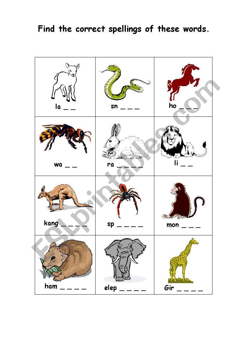 dictionary_animal_spelling worksheet