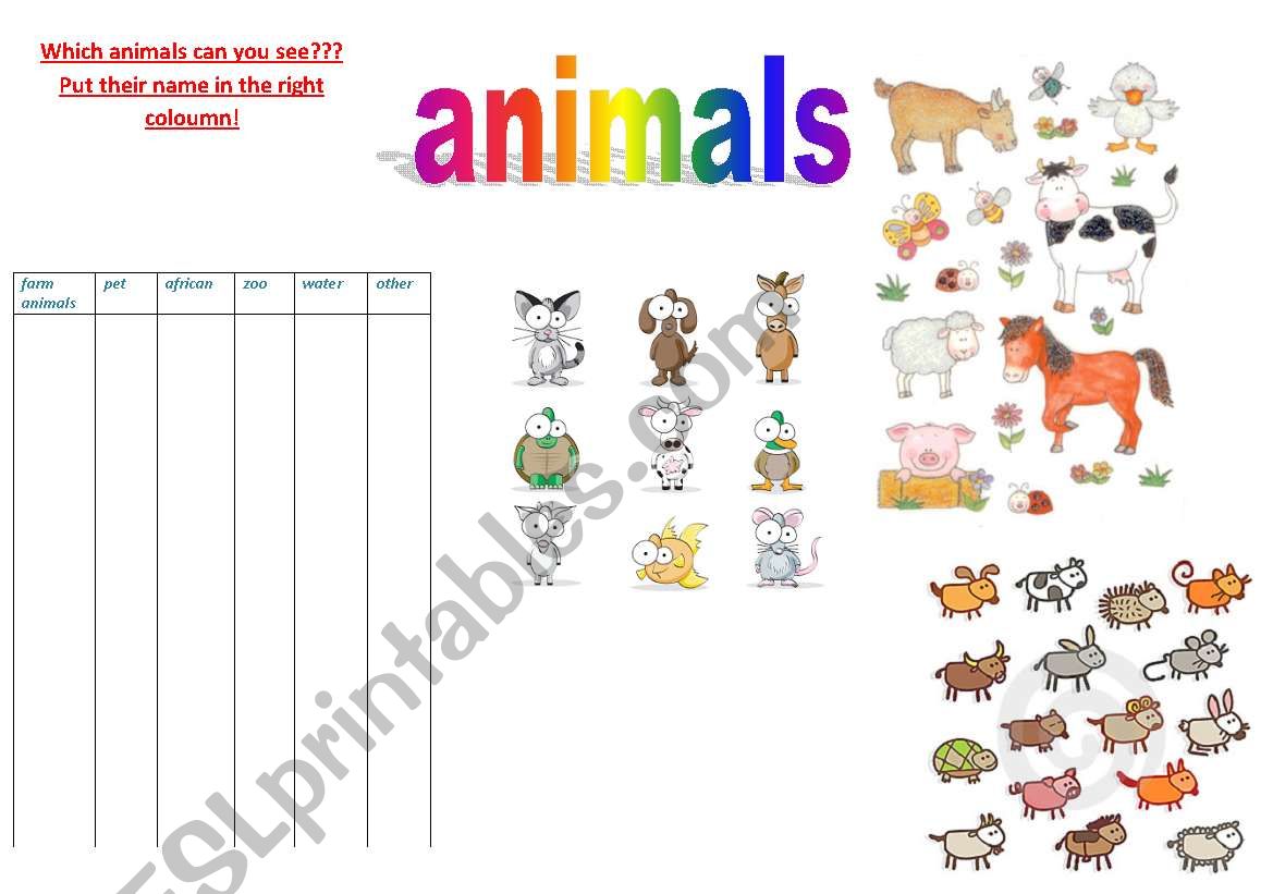 Animals worksheet